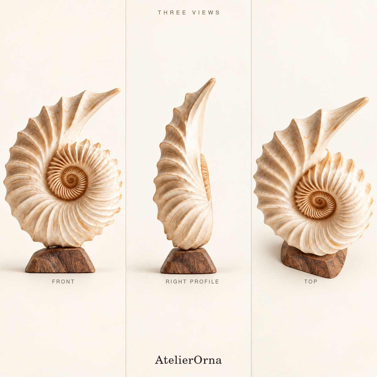 Nautilus | Wood Sculpture