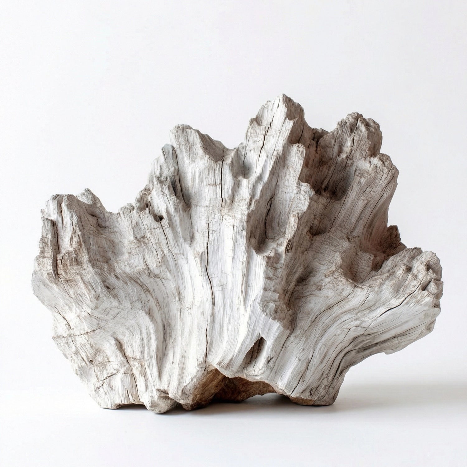 Patina | Wood Sculpture