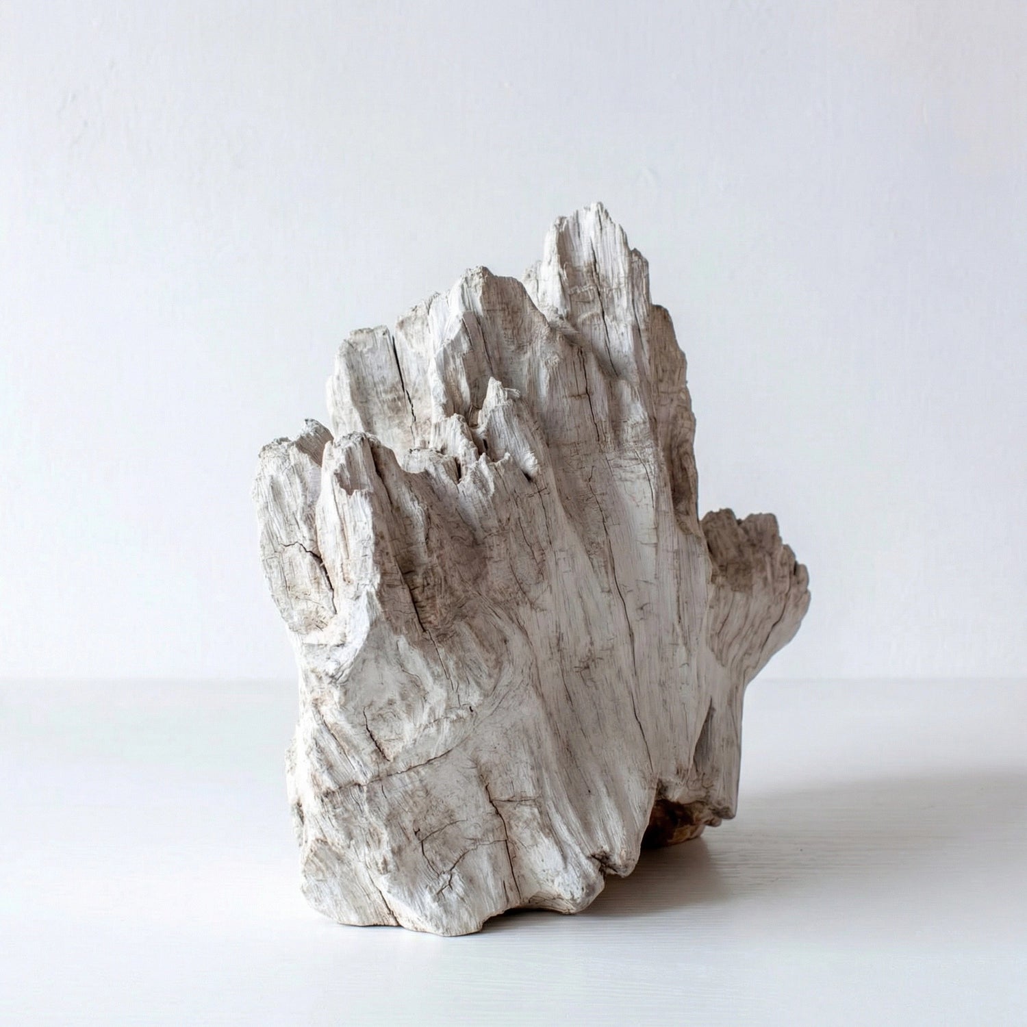Patina | Wood Sculpture
