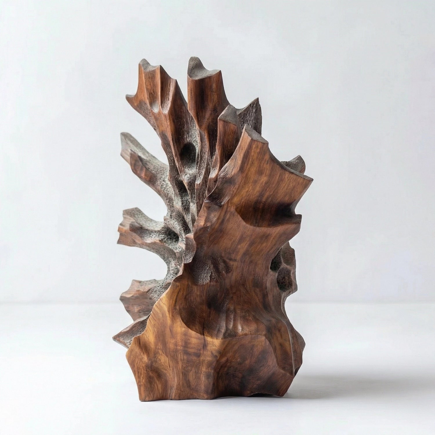 Coral | Wood Sculpture